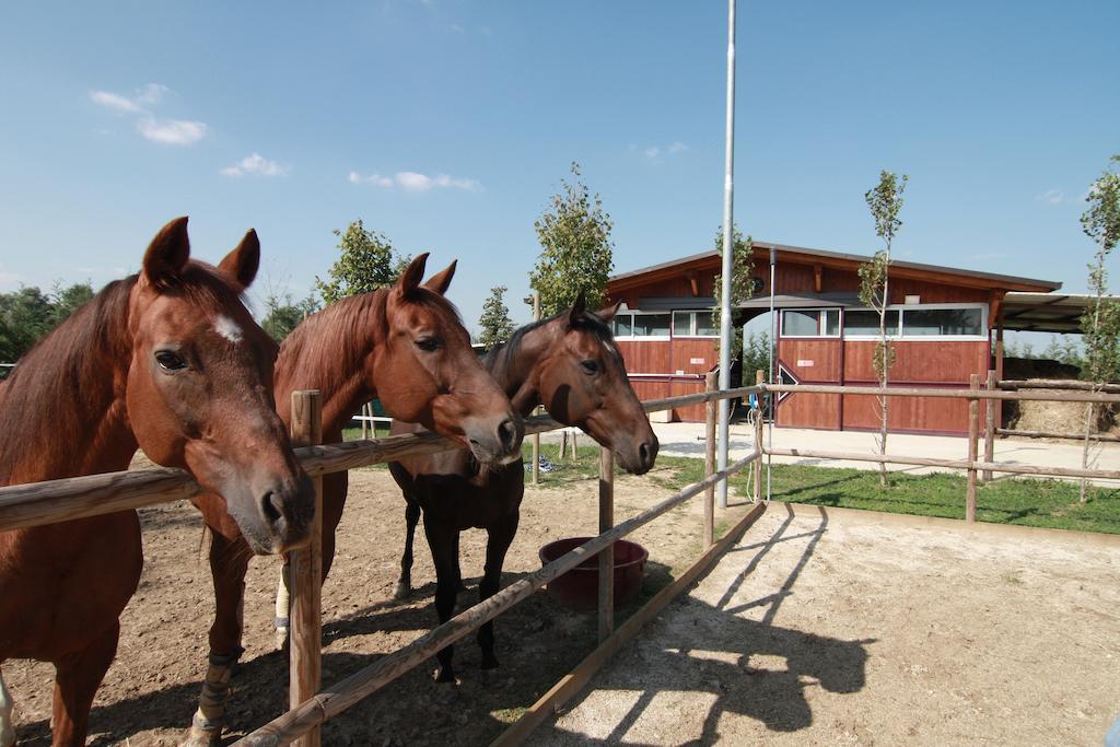 Aiceltis Bed & Breakfast Teolo Dış mekan fotoğraf