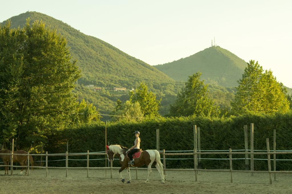 Aiceltis Bed & Breakfast Teolo Dış mekan fotoğraf